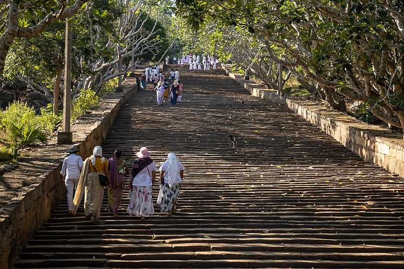 19R3476 Ascending the steps.jpg